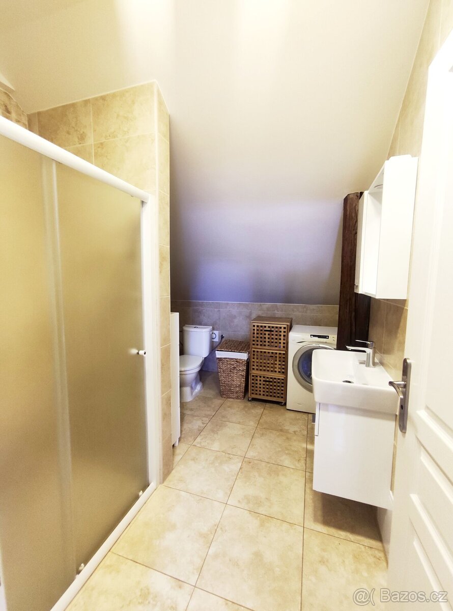 Nájem podkrovního bytu s terasou, 90m2, Daliborova, Ostrava - 8