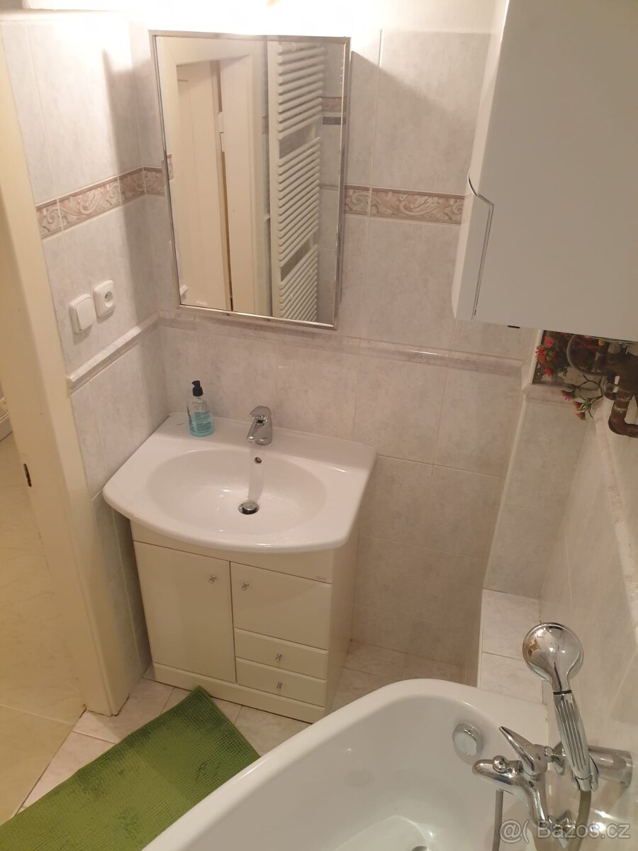 Pronájem samostatného pokoje - Praha 7. - 8