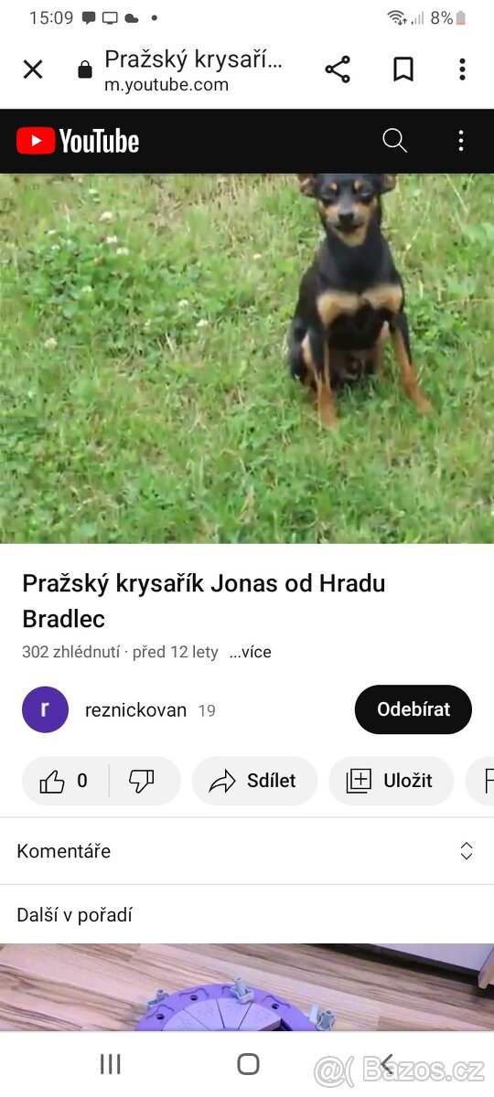 Pražsky krysařík - 8