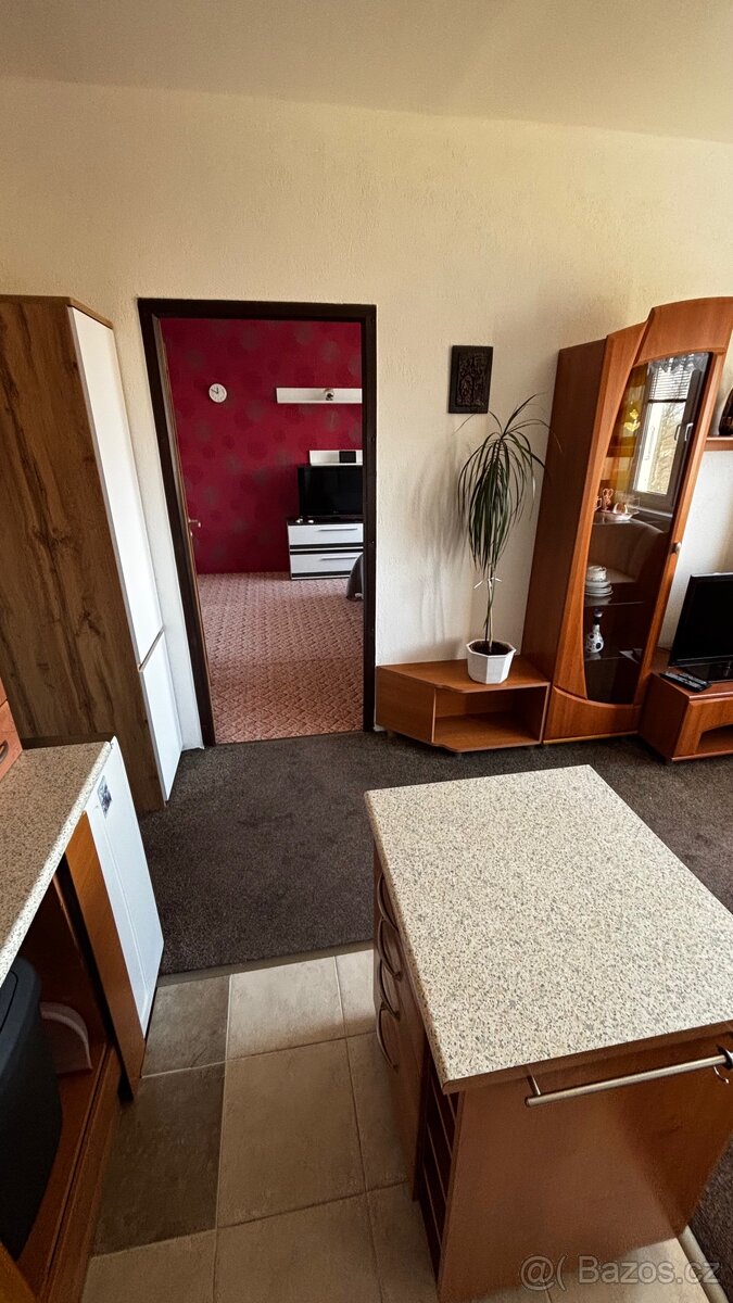 Prodej bytu 1+1 v os. vlastnictví - 8