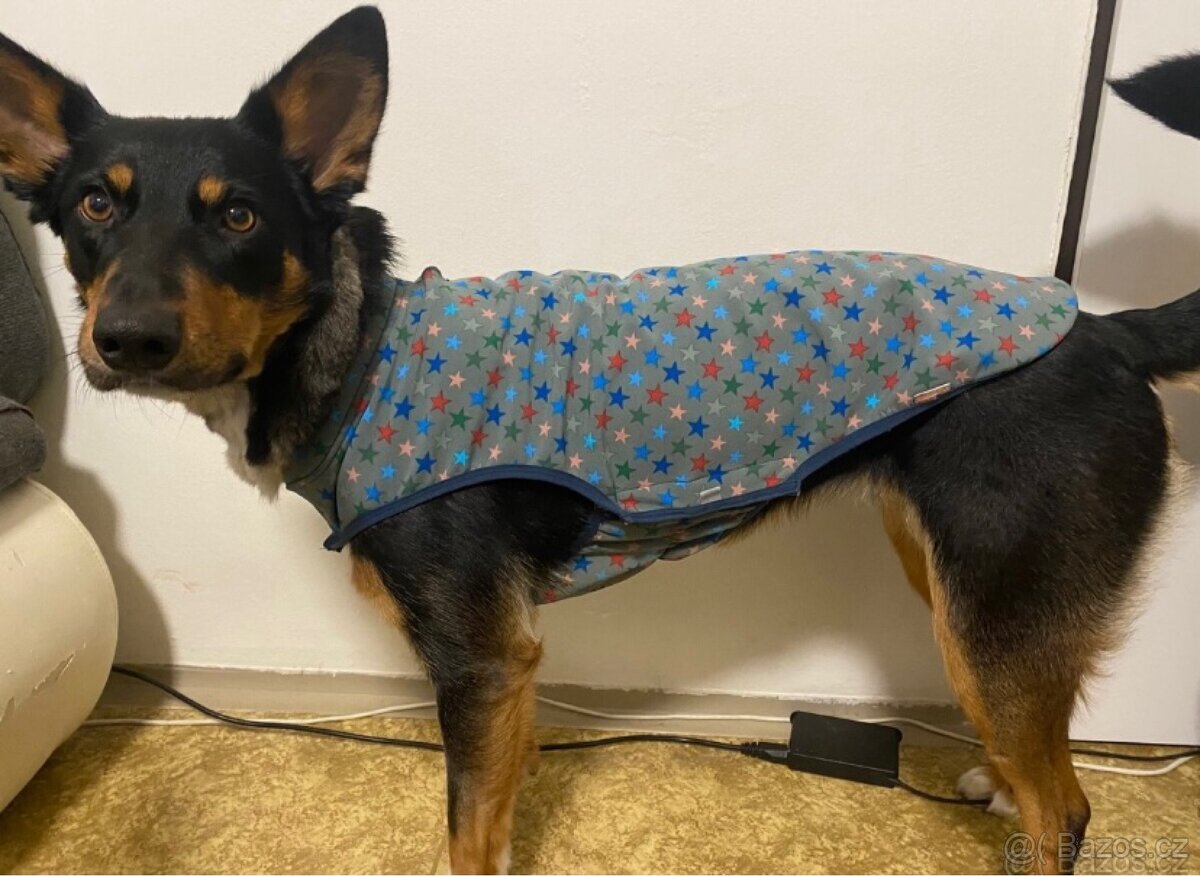 Obleček pro psa - 8