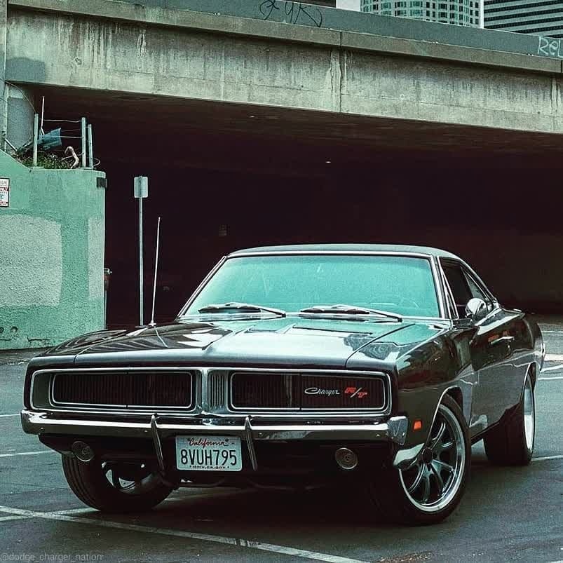 americke spz 50 statov - 8