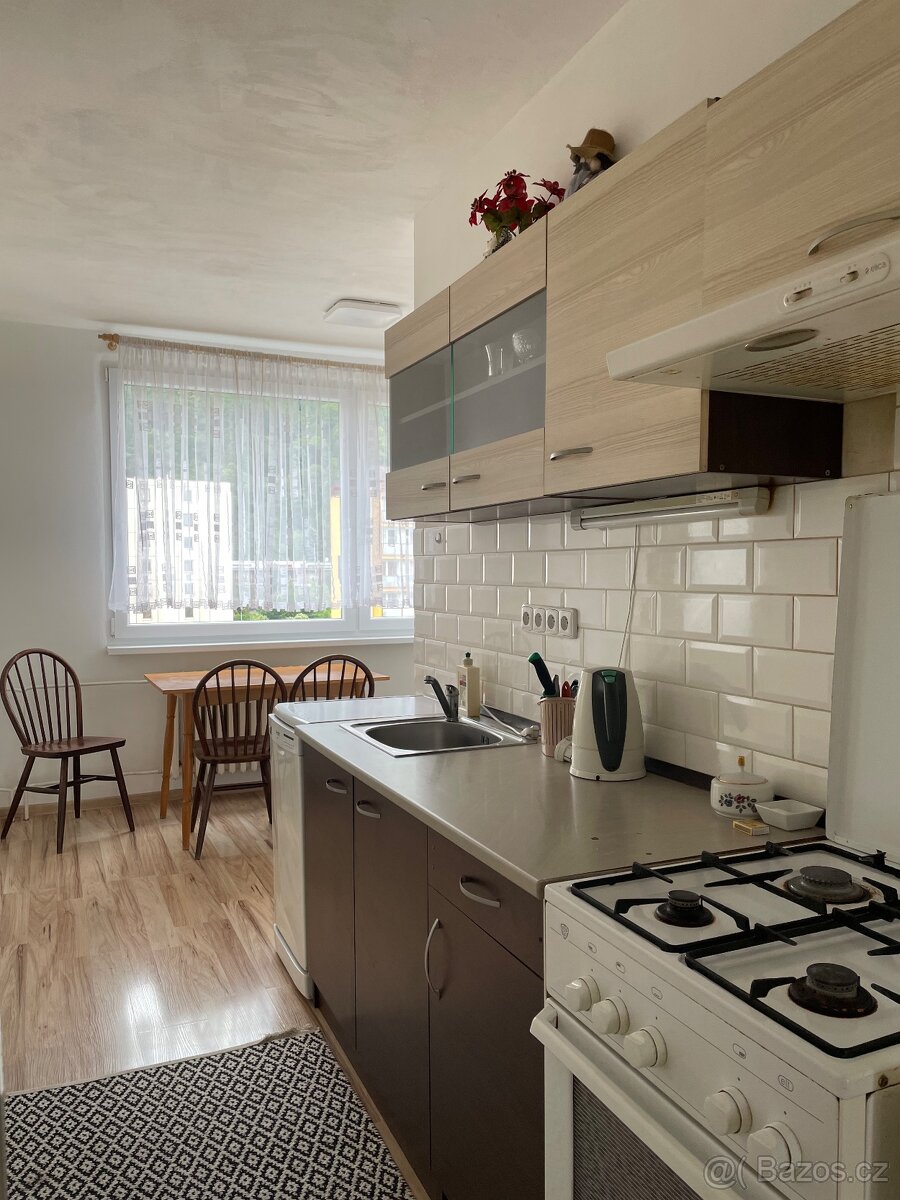 Byt 2+1, 60,73 m² | 7. patro | krásný výhled - 8