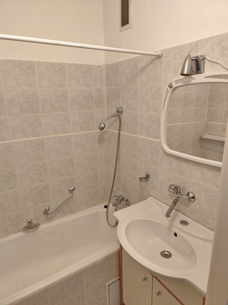 Prodej bytu 3+1, Olomouc, u parku. - 8