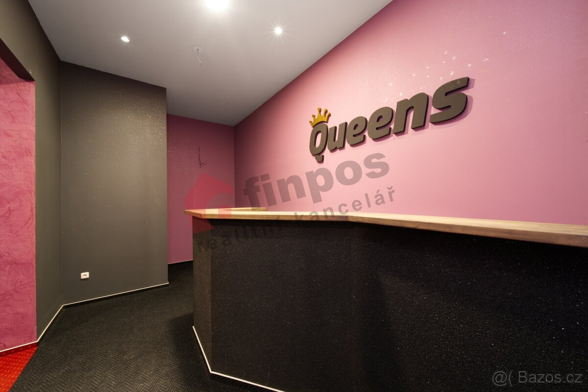 Pronájem komerčních prostor 230m2 Plzeň - 8