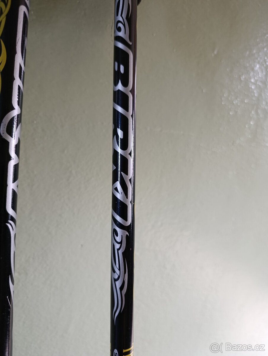 Lyže Blizzard, hůlky Birky - 8