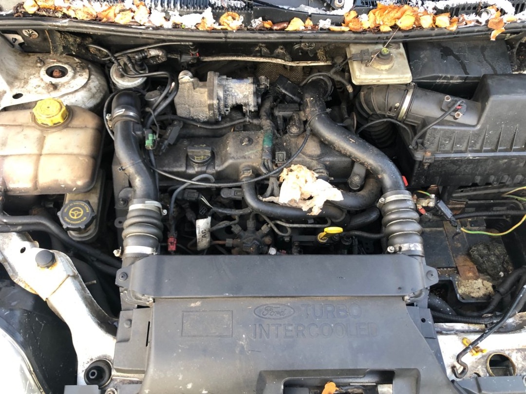 Ford Transit Connect 1.7 TDCI / 2010 / 250000km - 8