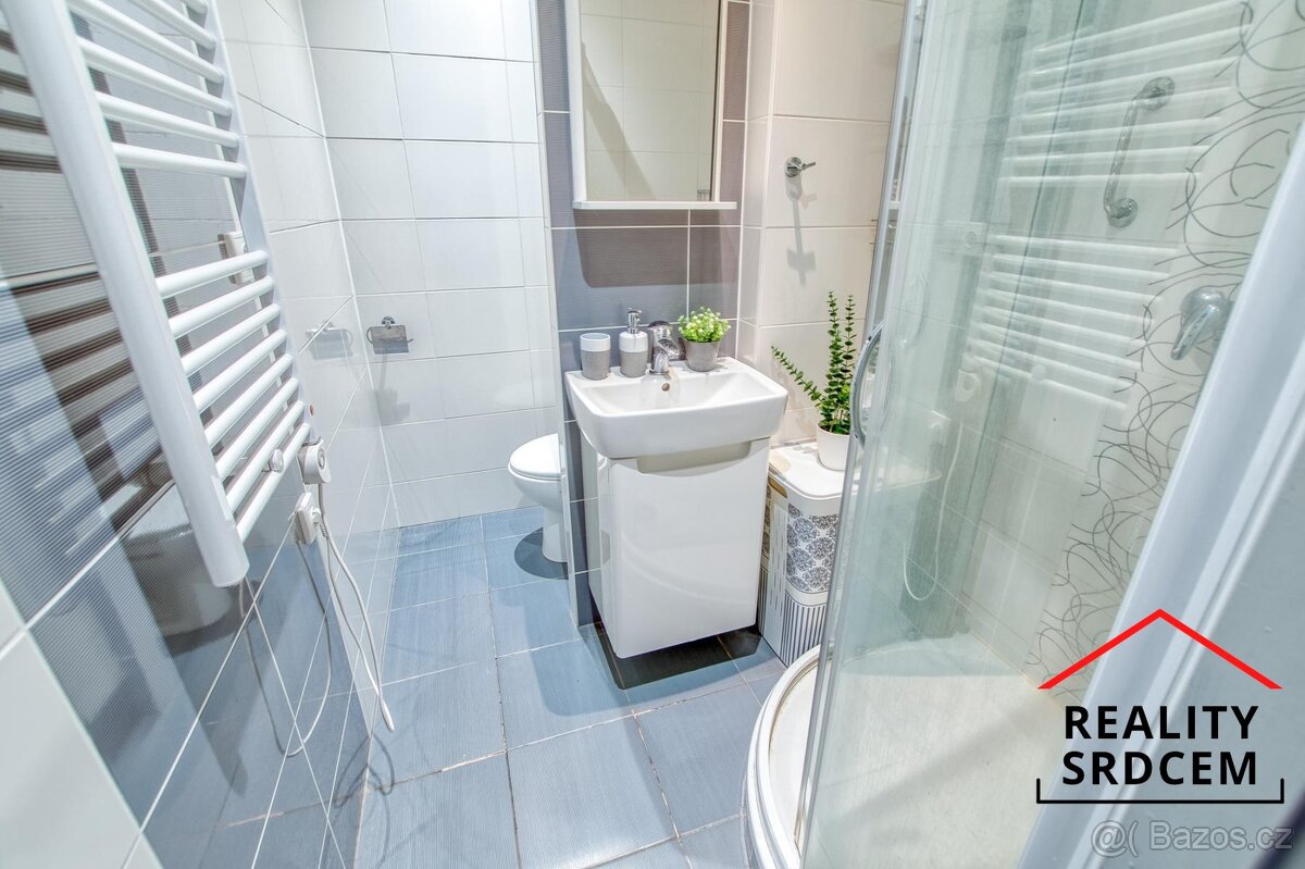 Prodej družs. bytu 1+1/35m2 ul. Slovenská, Karviná - Hranice - 8