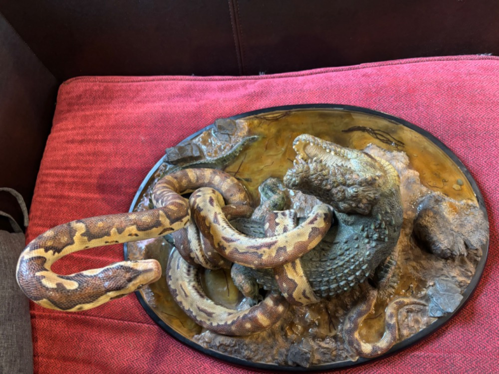 Queen Studios - Rock Python and Nile Crocodile - 8