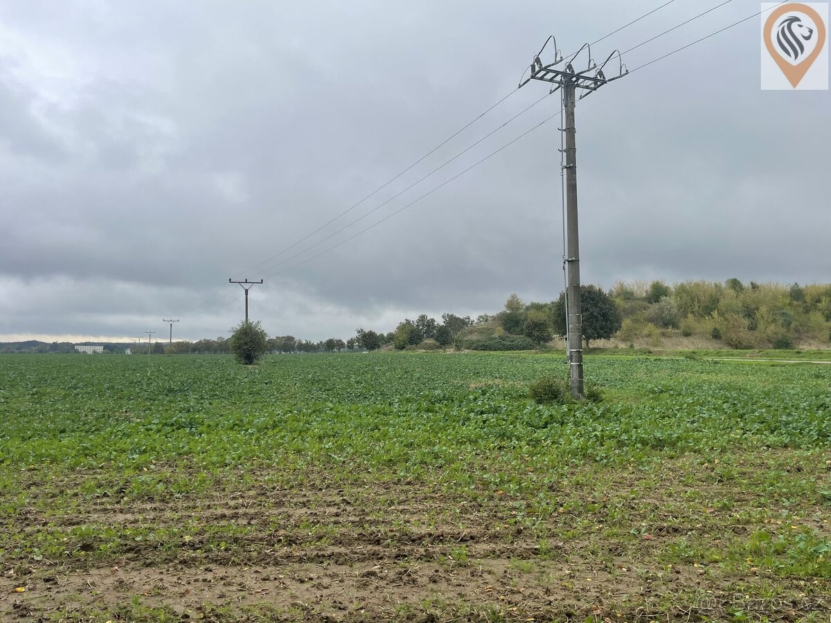 Prodej orné půdy o rozloze 7 001m2 - 8