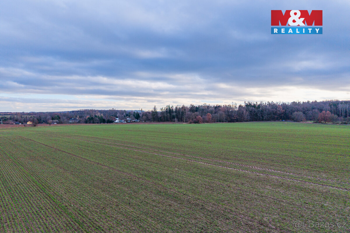 Prodej 1/2 pole, 3690 m², Jesenice - 8