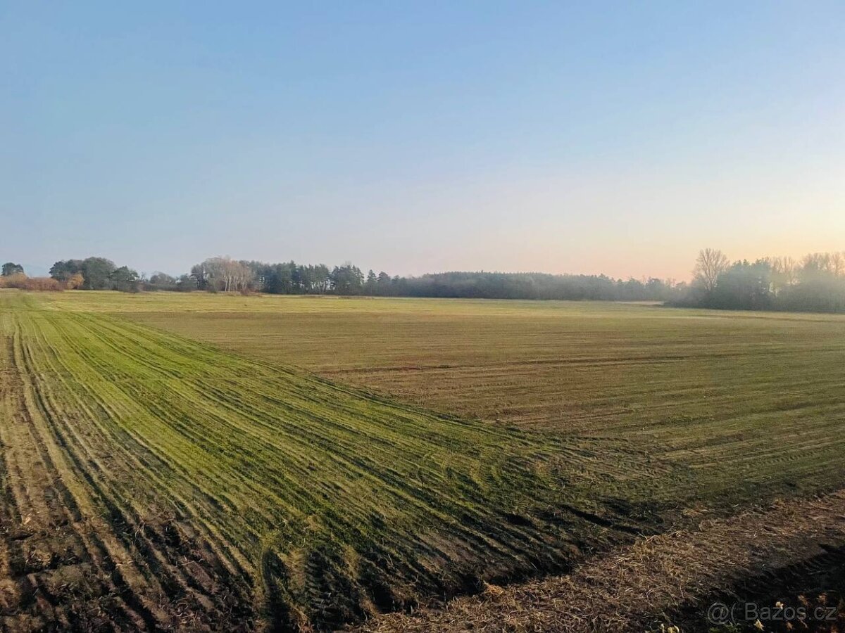 Nová Ponuka, 45 172 m² pri Levároch - 8