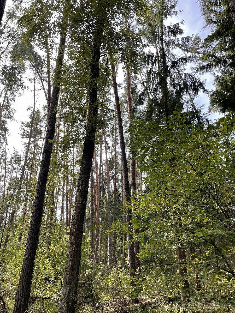 Prodám pozemky v k.ú. Drahov - 8