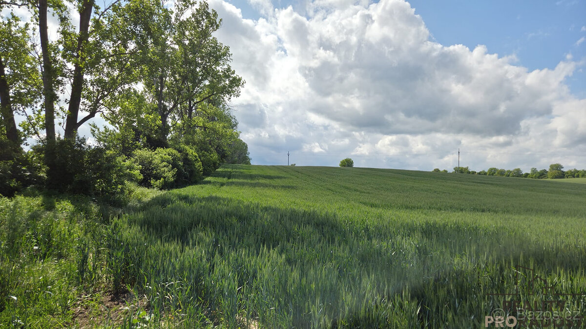 Prodej pozemků 2649 m2 v Kyjově - Nětčicích - 8