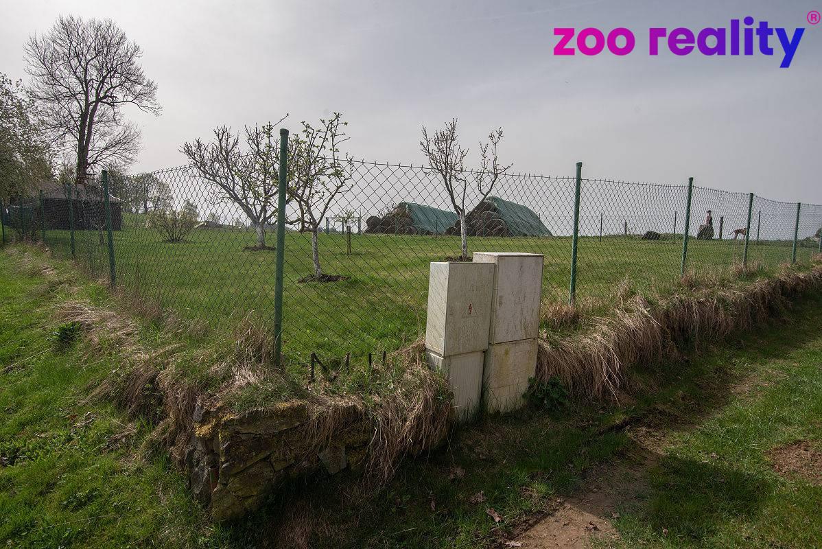 Prodej, stavební pozemek, 1161 m2, Ovesné Kladruby - 8