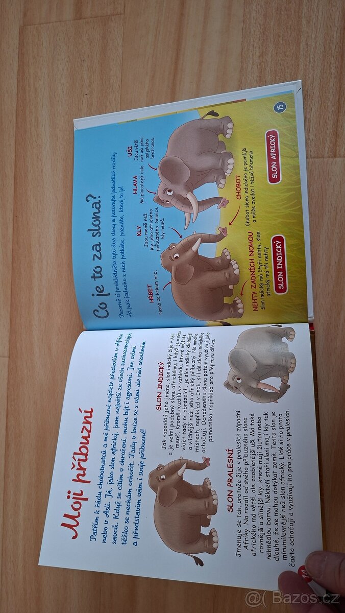 Bydlím v savaně SLON - 8