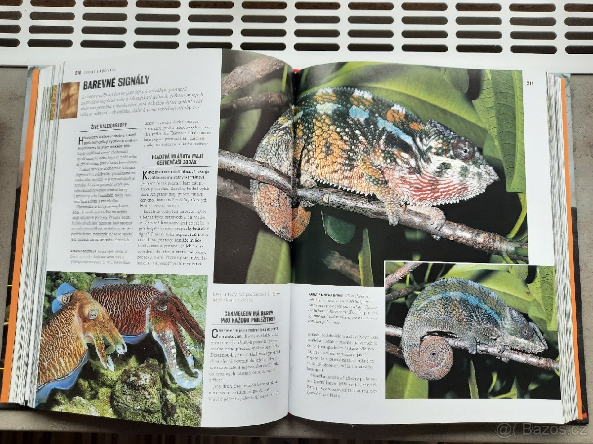 Prodám knihu 1000 DIVŮ PŘÍRODY. - 8