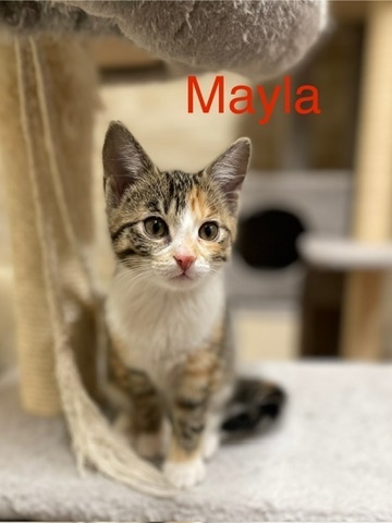 Mayla a Kyra - 8