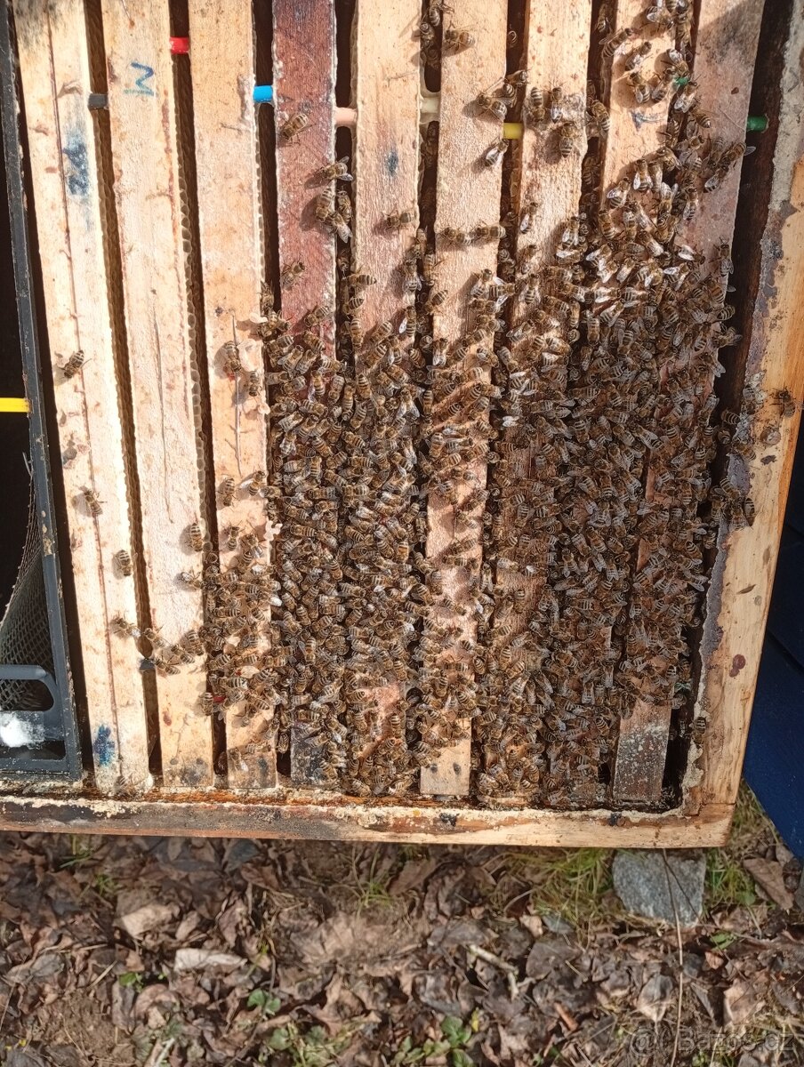 Vyzimované oddělky - 8