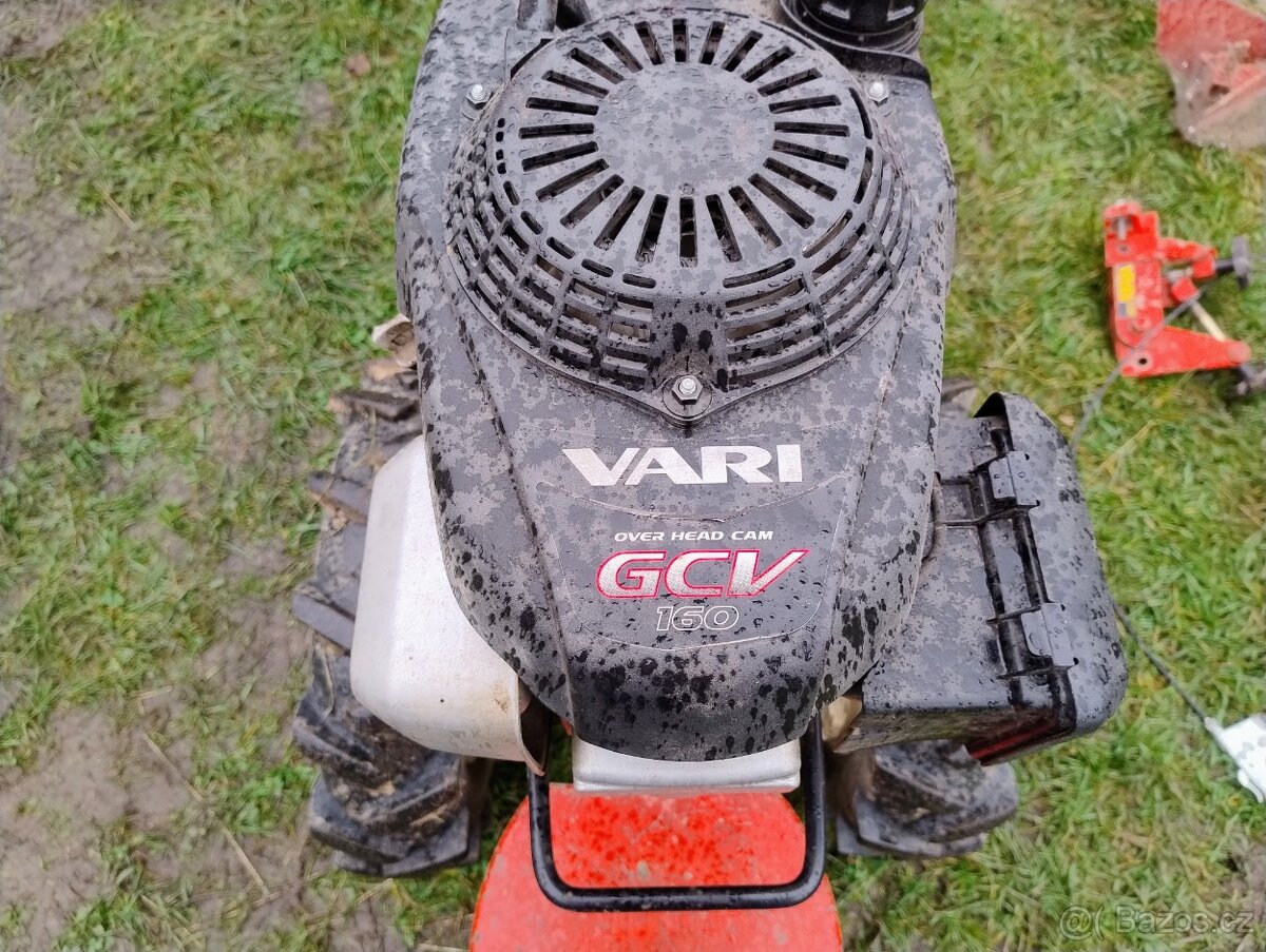 Tera Vari - 8
