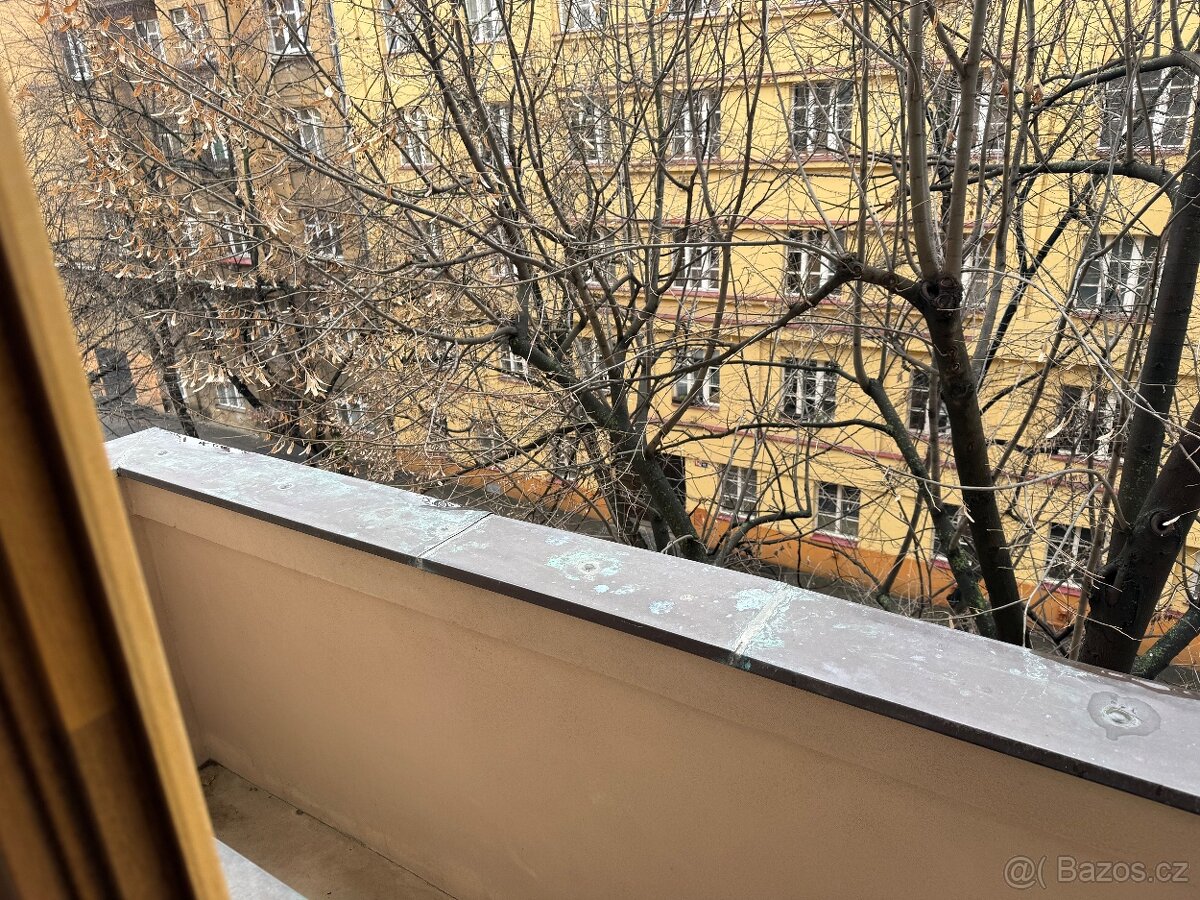 Byt Praha 3 Zerotinova ulice - 8