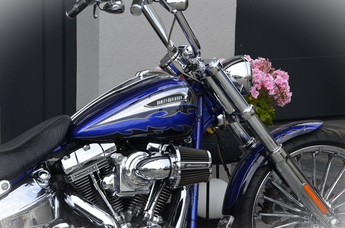 Harley Davidson Breakout CVO 110 - 8