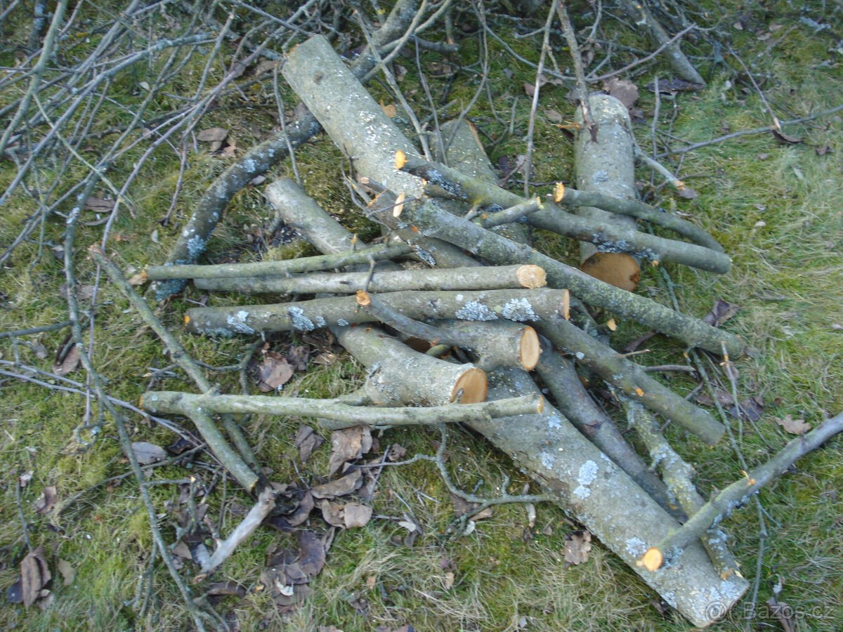 Dřevo na uzení - jabloň - 8