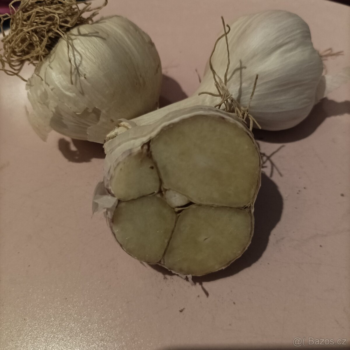 Český česnek - 8