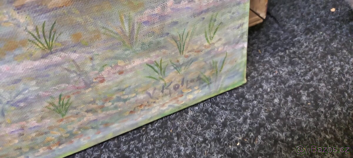 Obraz olej na plátně - 8