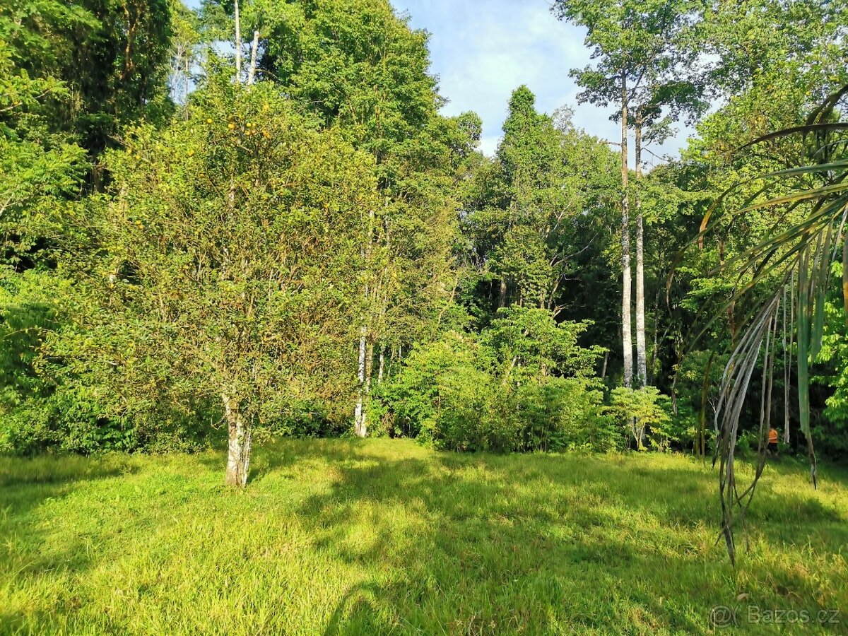 Pozemky a domy Kostarika - 8