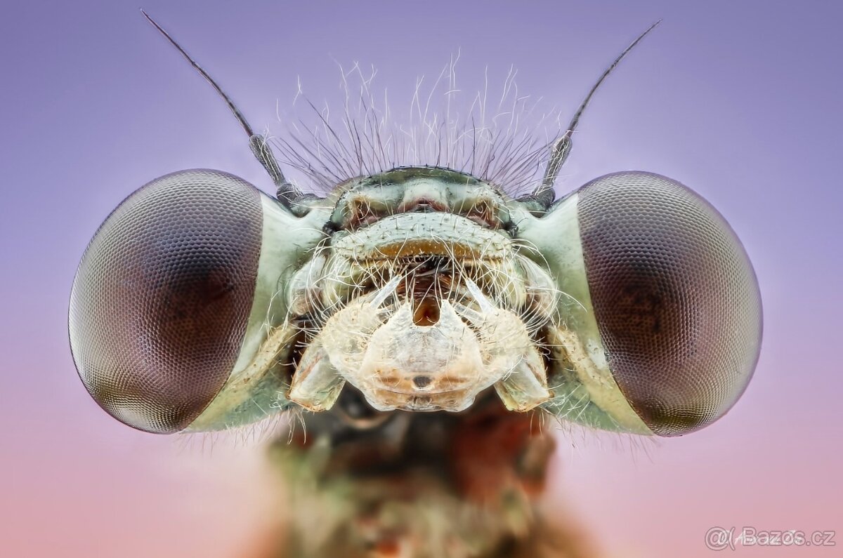 Prodám nepoužívaný objektiv CANON MP-E 65 mm - 8