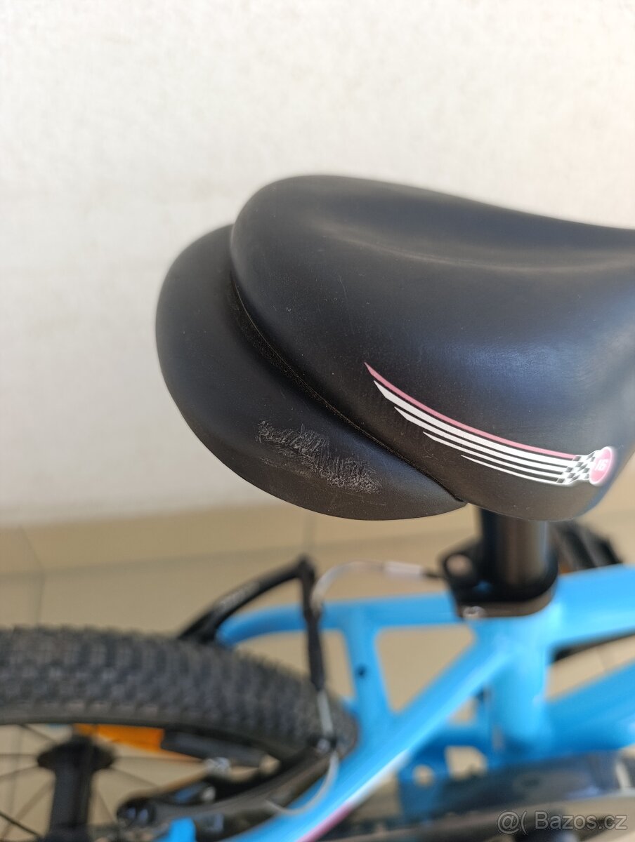 Author Record 16" - 8