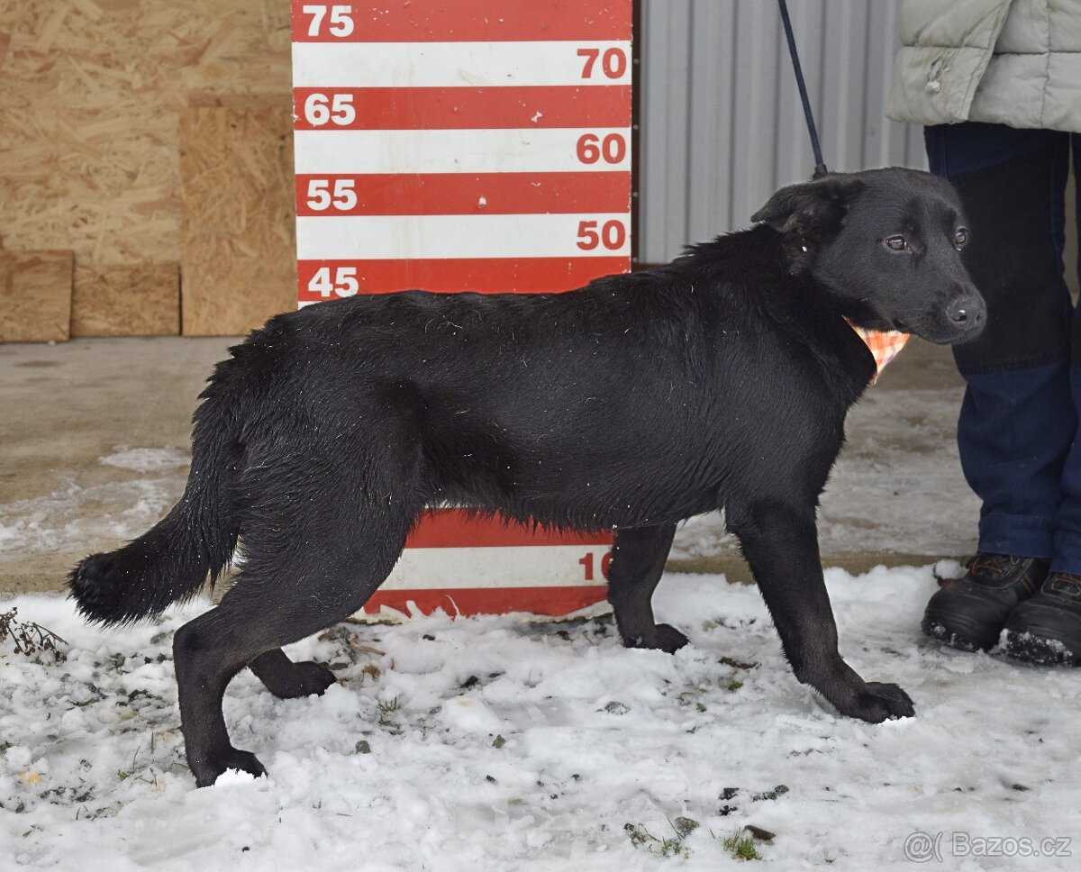 Zoie hleda domov - 8