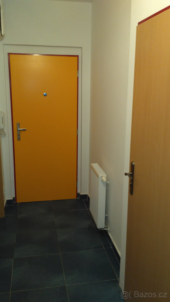 Pronájem bytu 1+kk - 8