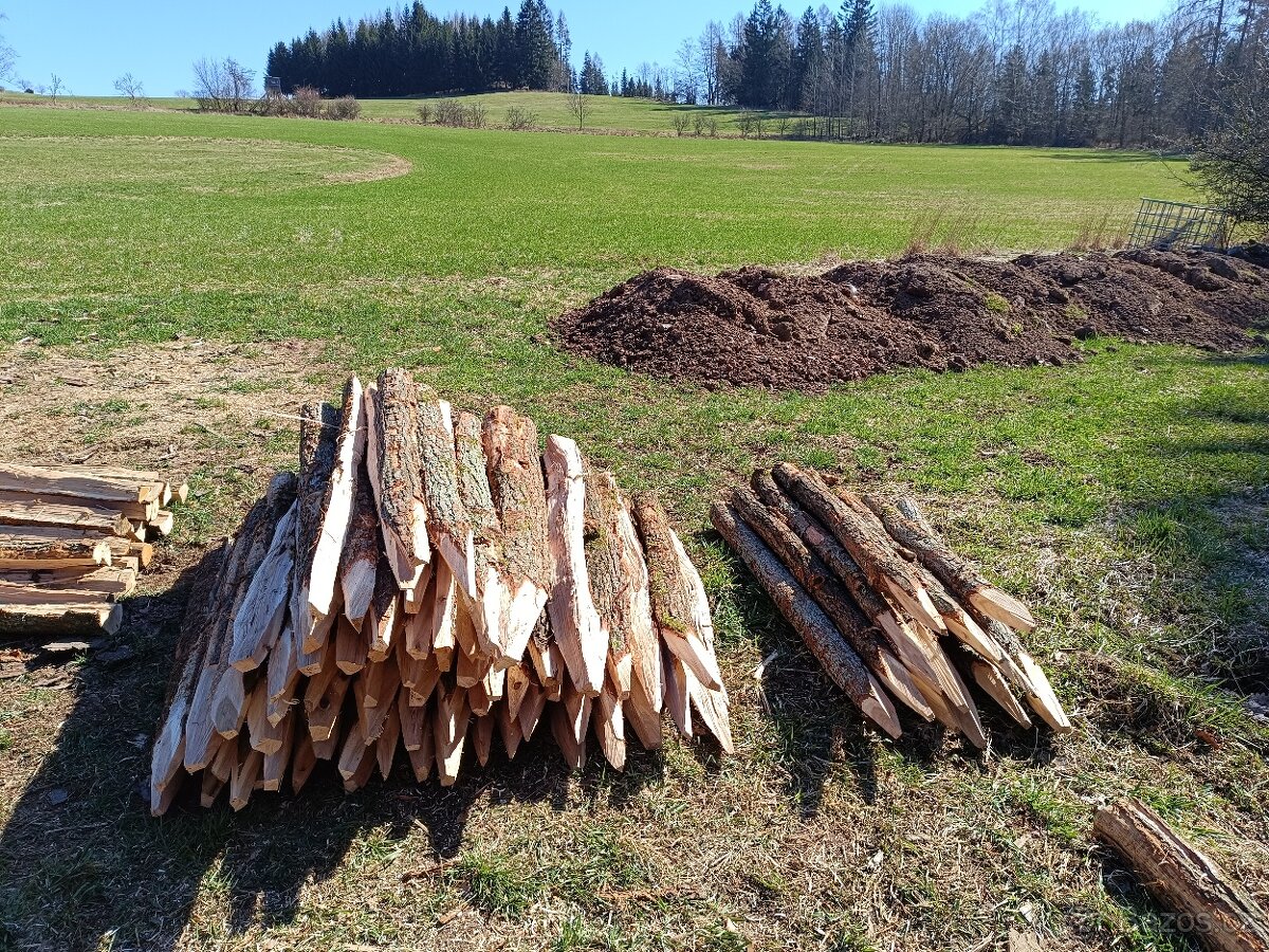 Dubové kůly a palivové dřevo - 8