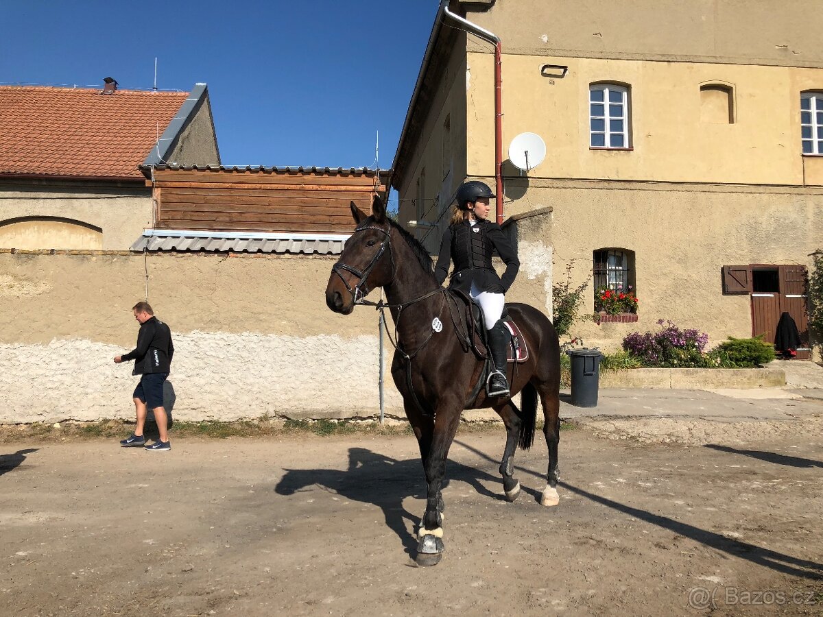 Valach po Grand Step - 8