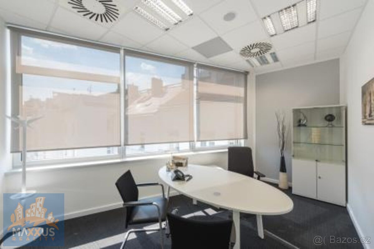 IP PAVLOVA - reprezentativní kancelář (21 m2), Praha 2 - Nov - 8