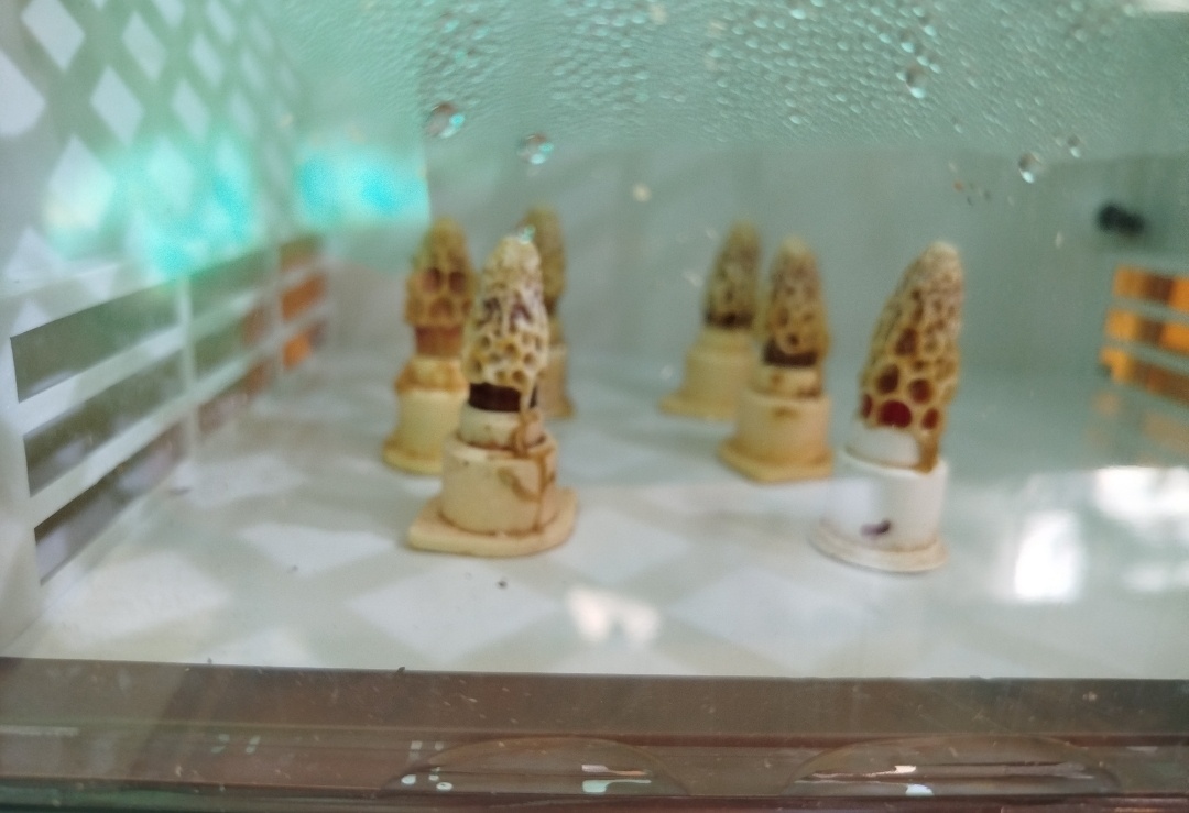 Včelí oddělky 2026 na rám. míře 39x24 - 8