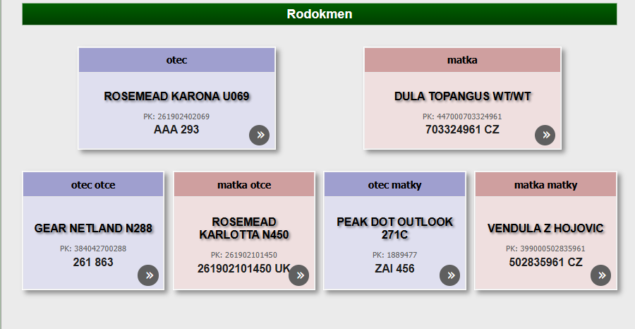 Plemenný býk Aberdeen Angus Black - 8