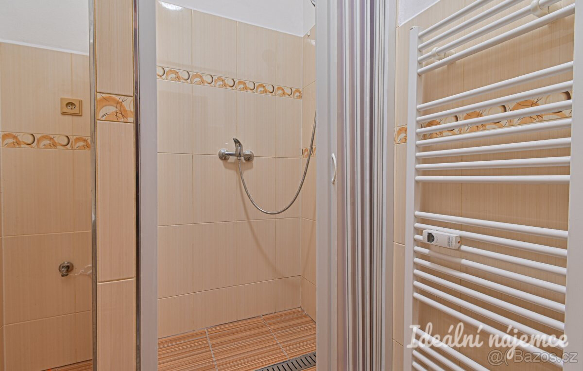 Prodej bytu 1+1 35 m² Nížkovice - 8