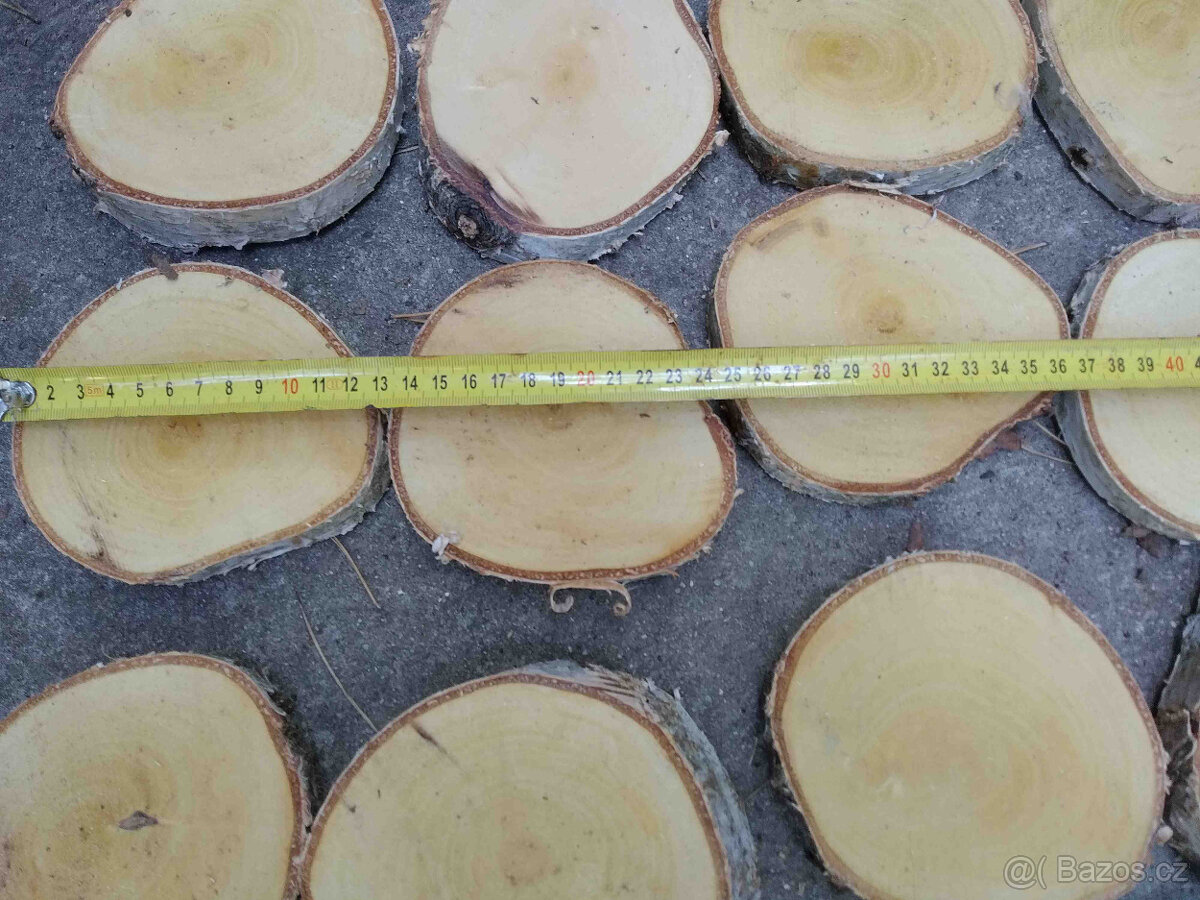 Placky bříza,kolečka a šikmé placky z břízy i jiného dřeva - 8