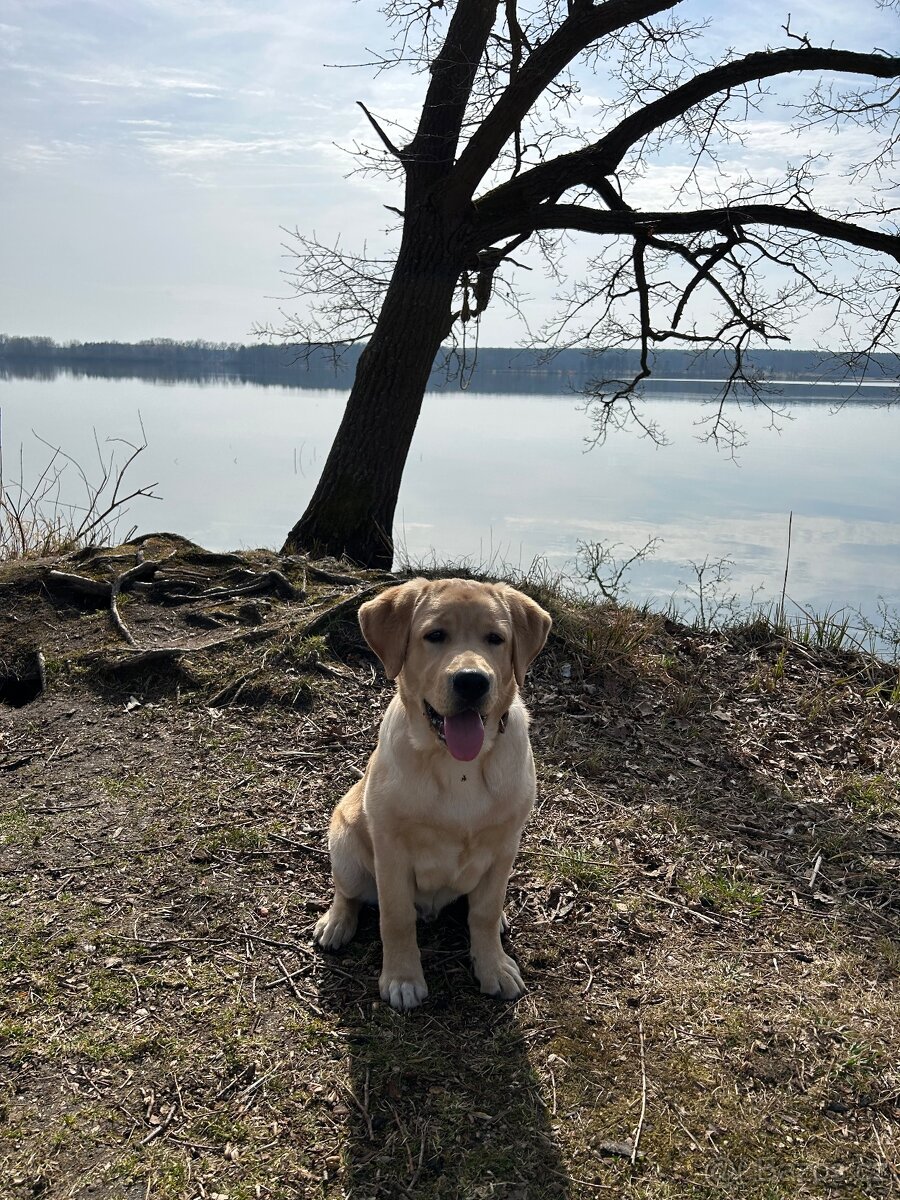 Rodinný dům v Třeboni - 8
