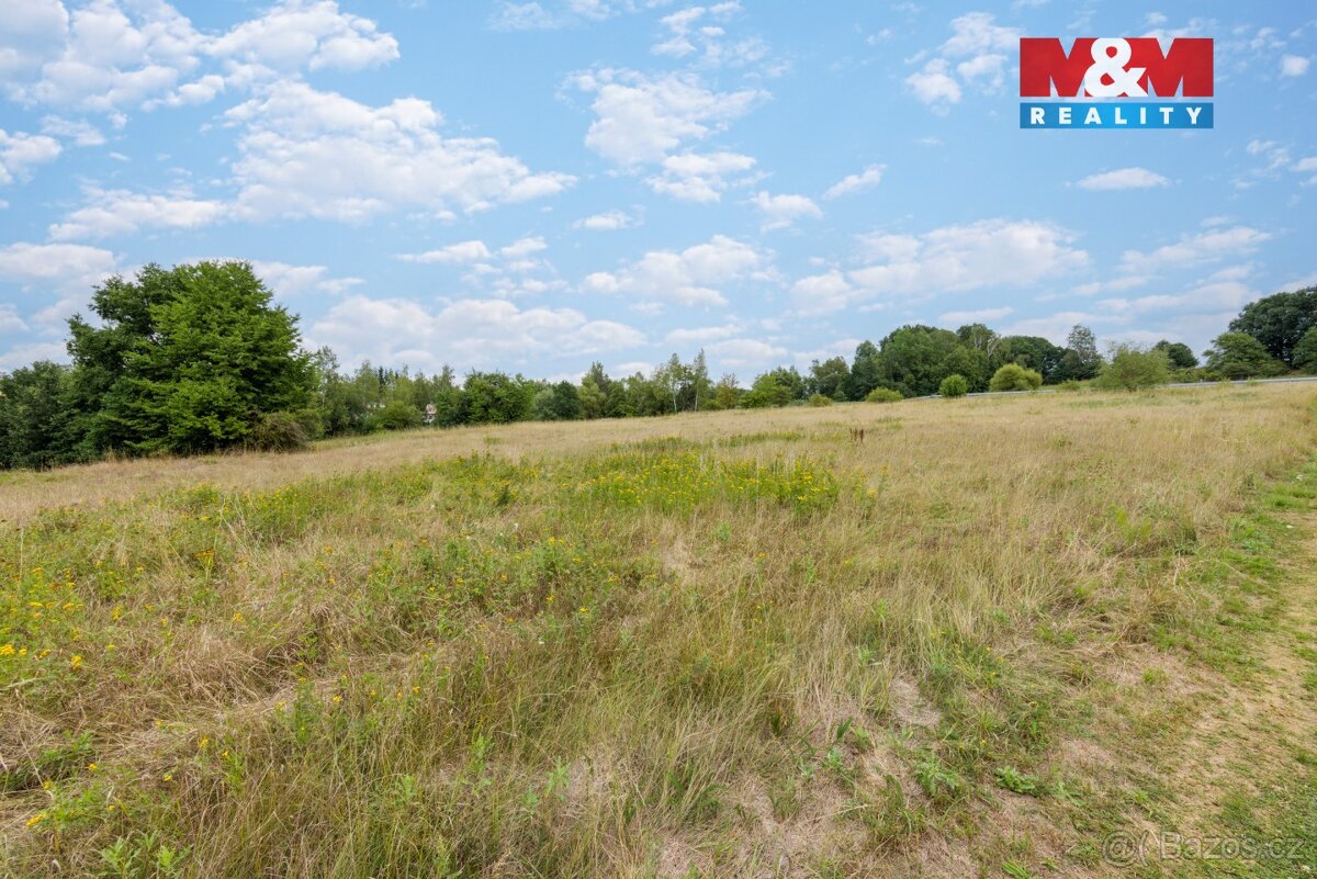 Prodej komerčního pozemku, 13.462 m², Dalovice - 8