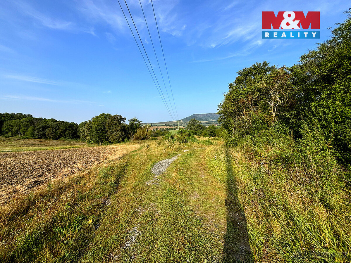 Prodej ovocného sadu, 25918 m², Dolní Nezly u Litoměřic - 8