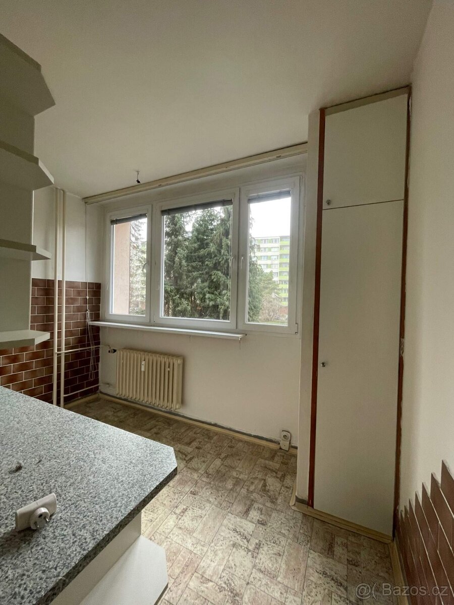 PRON. 2+1 LESNÁ, Slavíčkova - 8