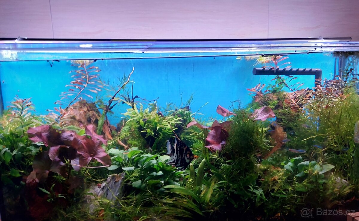 Akvárium i se stolkem - 8