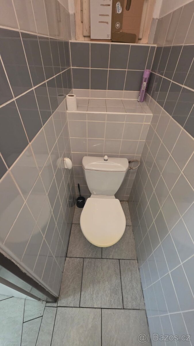 Pronájem obchodních prostorů v centru Rožnova p/R - 8