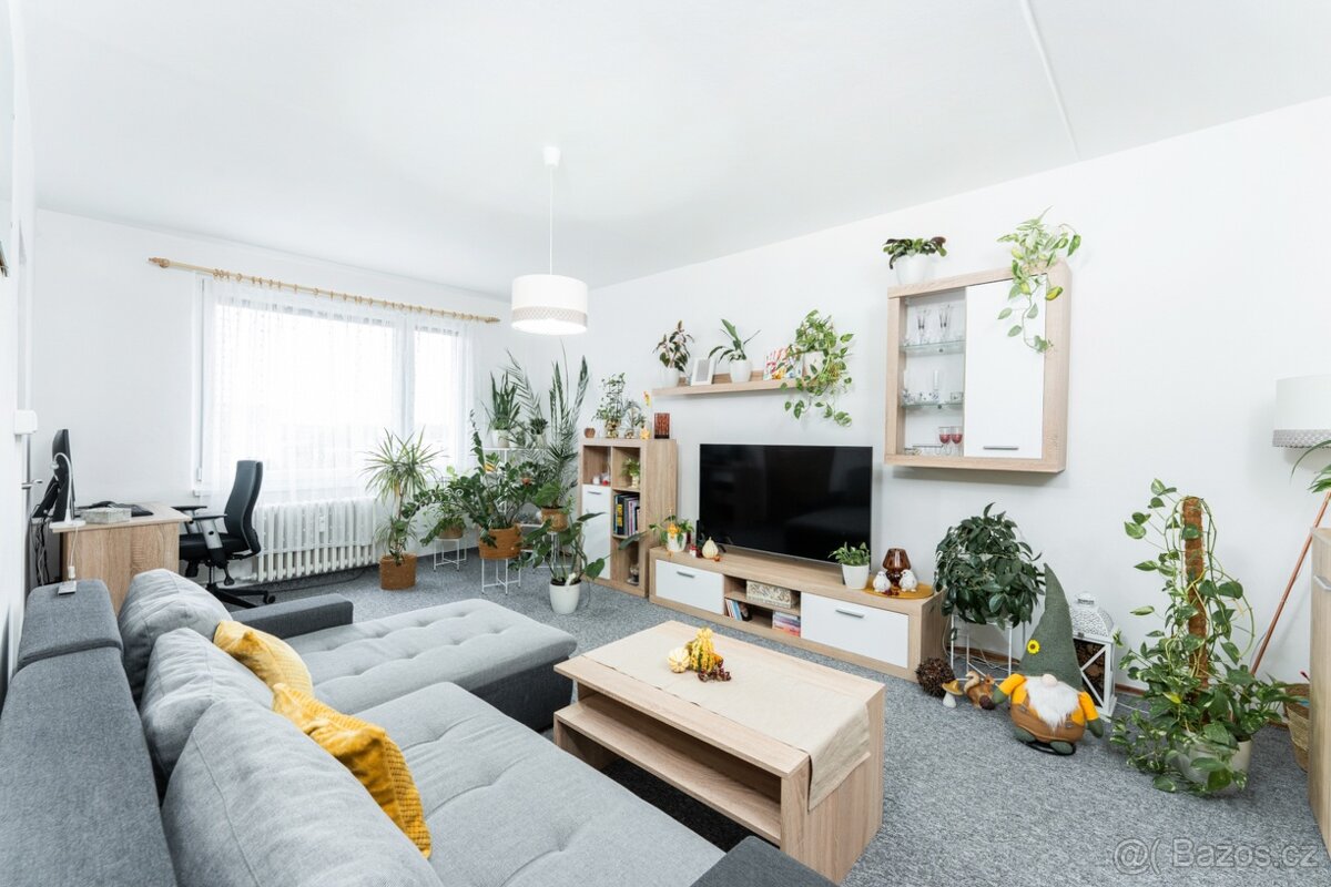 Byt 2+1 (70m2) Hradec Králové - 8