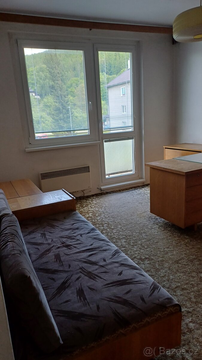 PRODÁM BYT 3+1 S GARÁŽÍ OSKAVA - 8