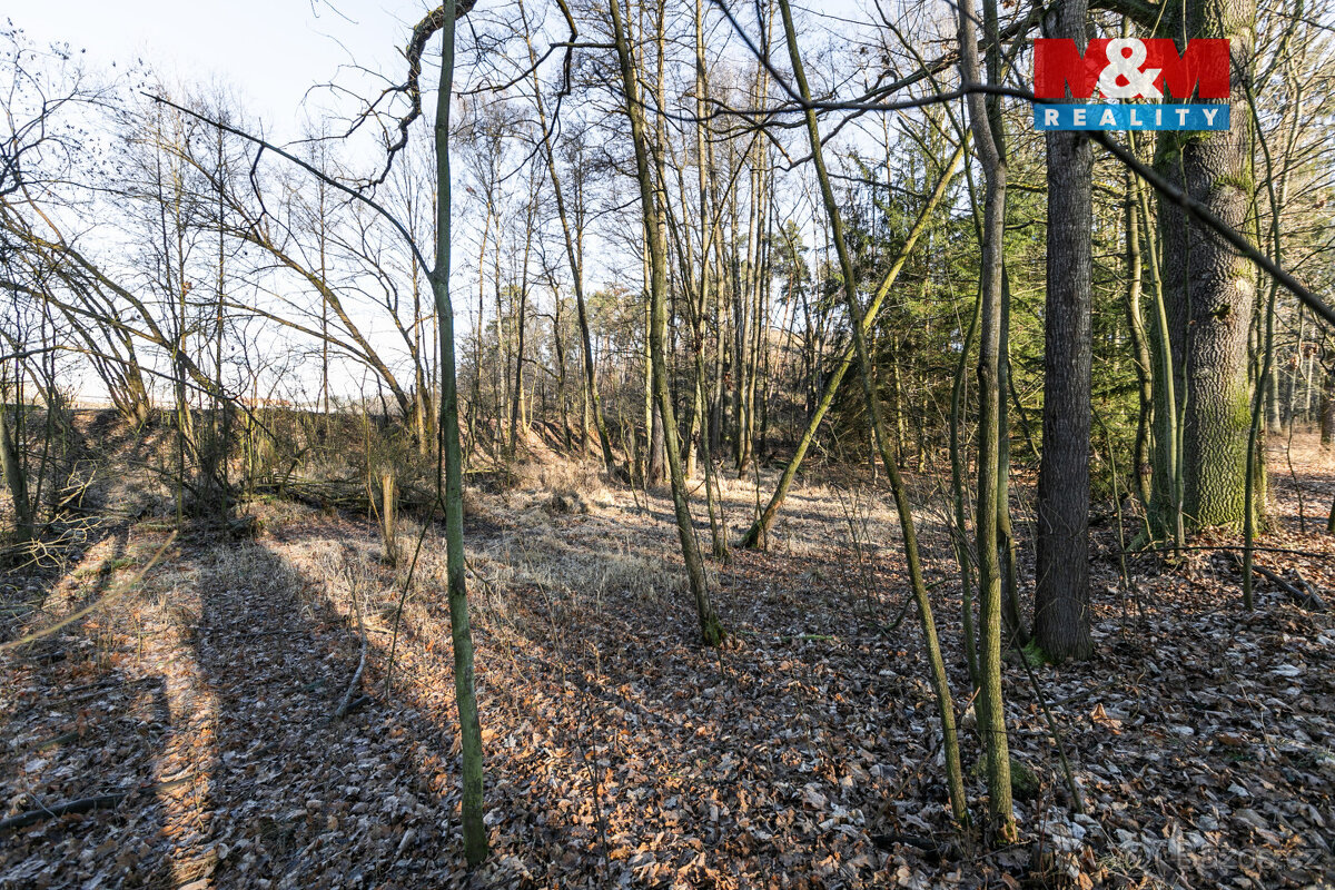 Prodej lesa, 685 m², Horšovský Týn - 8